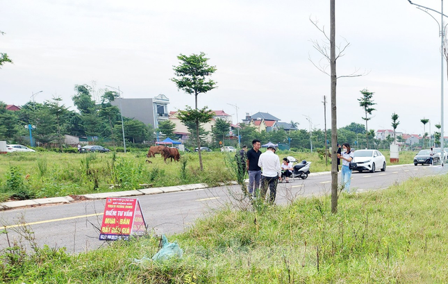 Huyện ngoại thành Hà Nội liên tục đấu giá đất, chuyên gia cảnh báo rủi ro