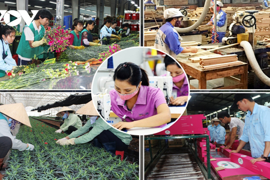 Slanderous allegations about Vietnamese market economy come under fire