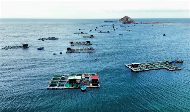 Ninh Thuận Province applies advanced techniques in marine aquaculture