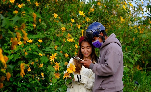 Đà Lạt Flower Festival slated for nearly one month