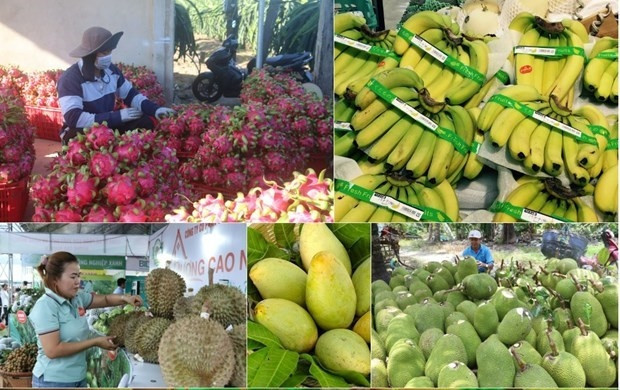 Eight-month fruit and vegetable exports earn close to US$4.6 billion