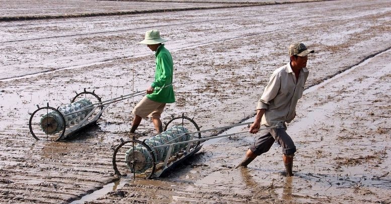 ‘Kho vàng’ chục triệu tấn bị vùi trong bùn vì thói quen xấu