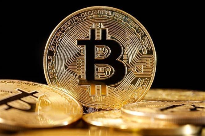 Bitcoin tăng giá, số lượng triệu phú tiền số tăng tới 95%