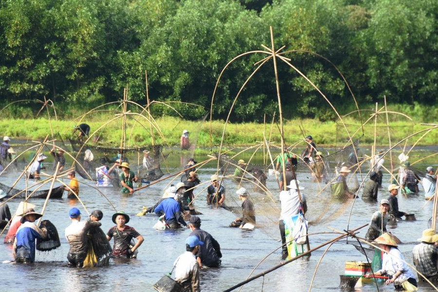 Ngày đầu nghỉ lễ, cả làng cùng du khách nhảy xuống đầm lầy chụp cá, tôm