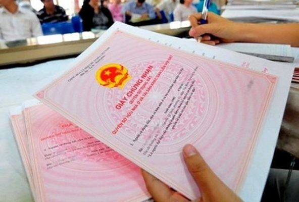 Nearly 9,000 land records delayed: HCMC Tax Dept. issues urgent petition