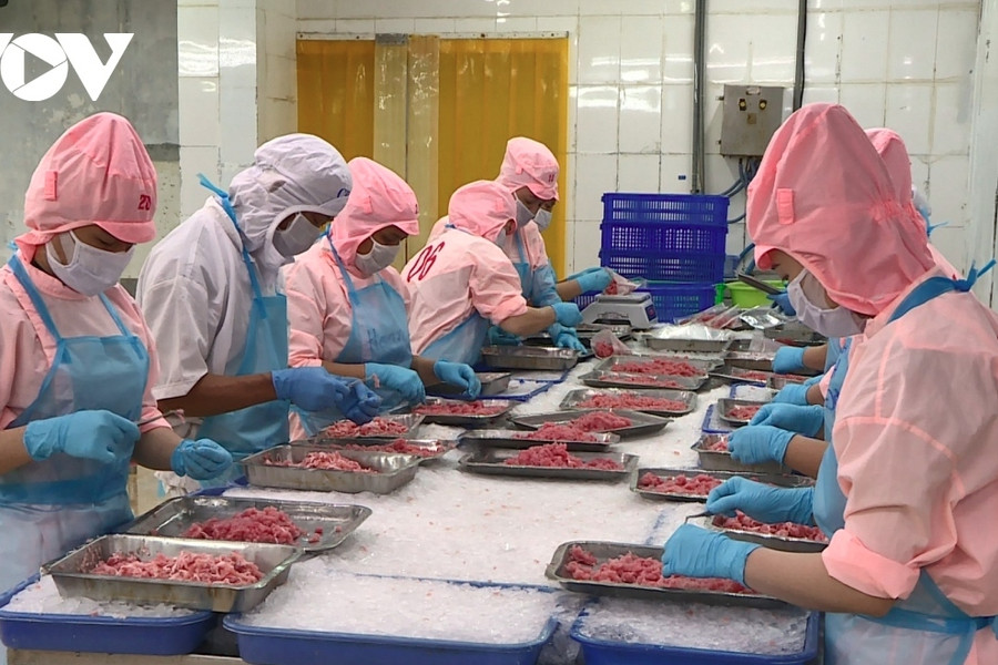 Vietnamese seafood exports hit US$6.3 billion during eight-month period