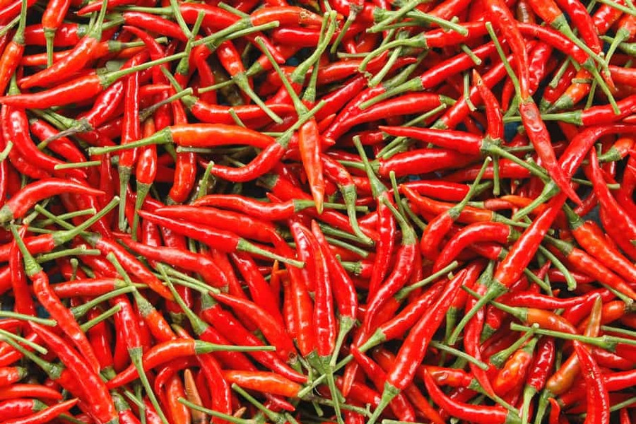 Eight-month chili exports to US market skyrocket