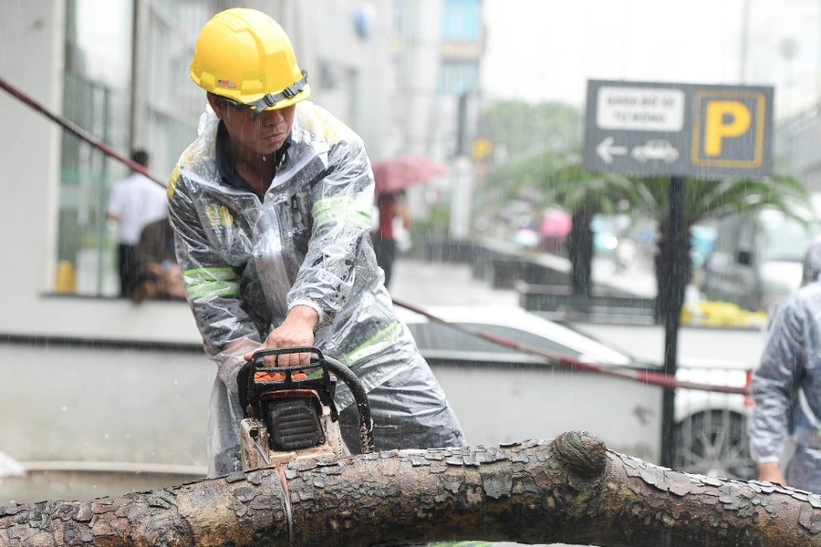 Lực lượng tinh nhuệ TPHCM đội mưa tầm tã dọn dẹp cây xanh tại Hà Nội