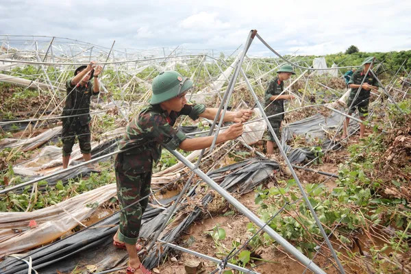 Japan, South Korea announced support for Việt Nam in addressing typhoon aftermath