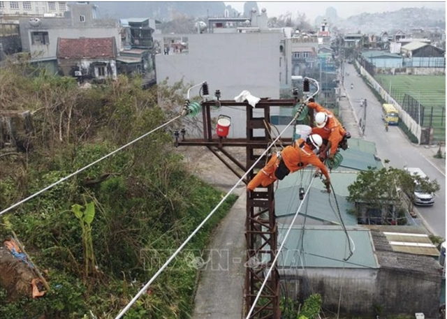 Power restored to nearly 99pct of typhoon-affected clients