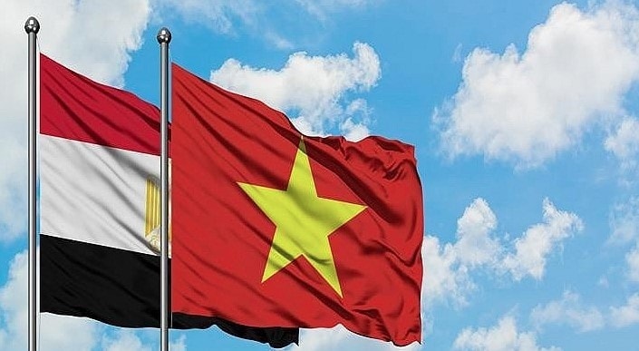 Vietnam reinforces all-around ties with Egypt