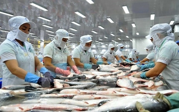 More Tra fish exporters exempt from US anti-dumping tax