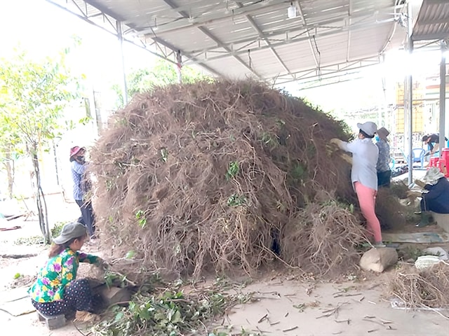 A call for a clear legal framework to boost biological pesticide production in Việt Nam