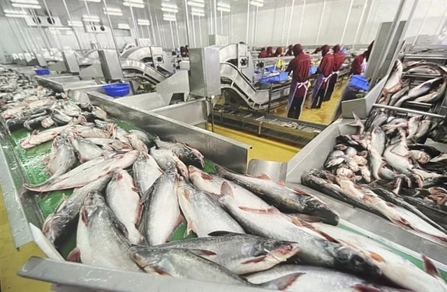 China spends US$21 million importing Vietnam’s pangasius fish maws