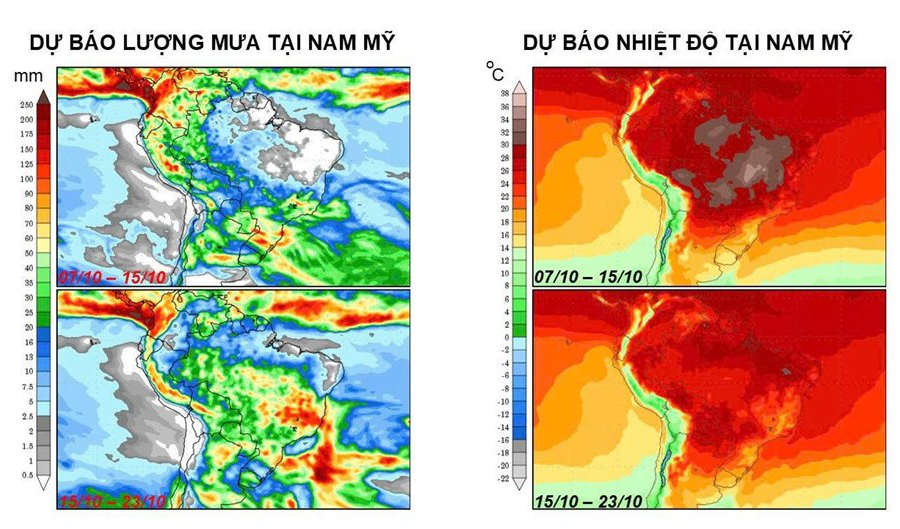 Mưa trở lại tại các vùng trồng cà phê chính của Brazil, dự báo sản lượng sẽ phục hồi