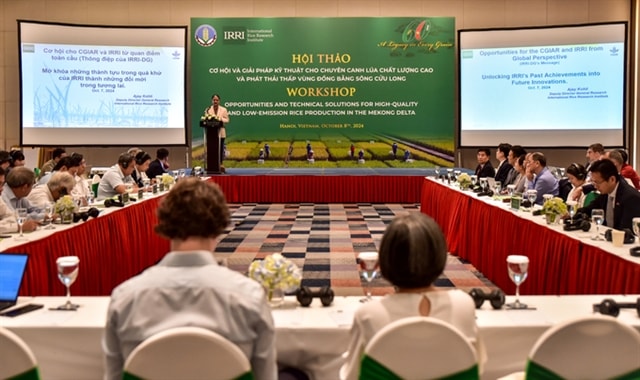 Mekong targets low-emission rice production with carbon credit initiative
