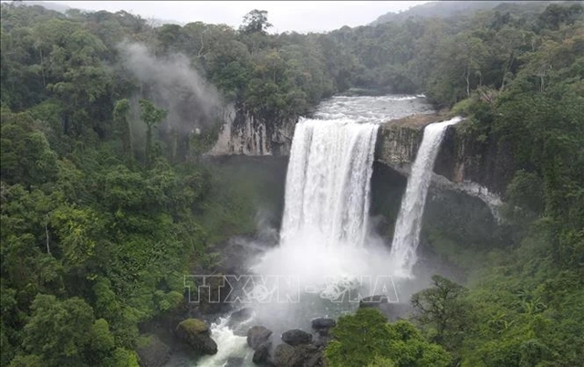 Network to connect ASEAN Heritage Parks in Việt Nam