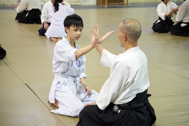 Martial art for peace