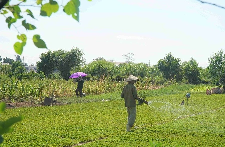 Bộ Tài chính phản hồi đề xuất giảm thuế GTGT với vật tư nông nghiệp, điện nước