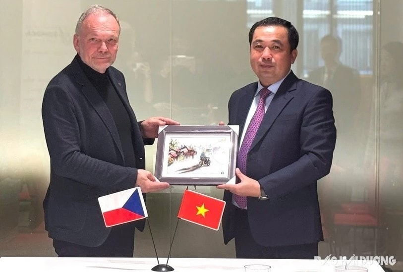 Hai Duong steps up investment, labour cooperation with Czech Republic