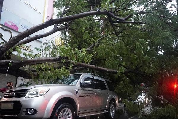 Bão Trà Mi áp sát, cây xanh đổ hàng loạt đè ô tô ở Đà Nẵng