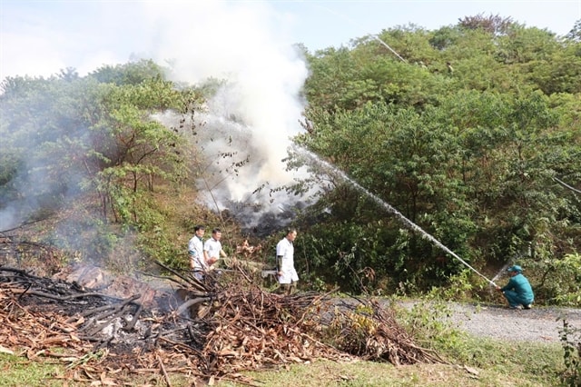 Hà Nội proactively preventing forest fires in the dry season