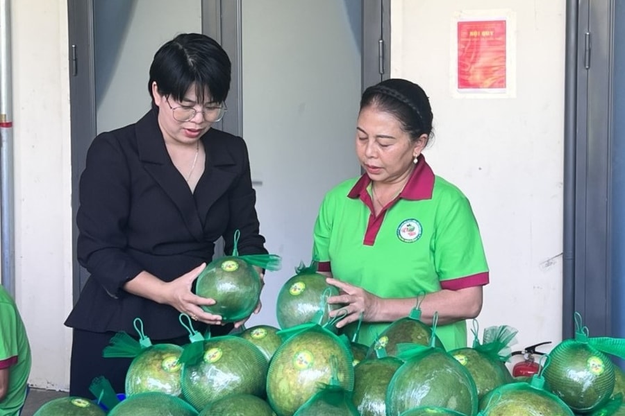 Đưa sầu riêng, bưởi da xanh miền núi lên sàn thương mại điện tử