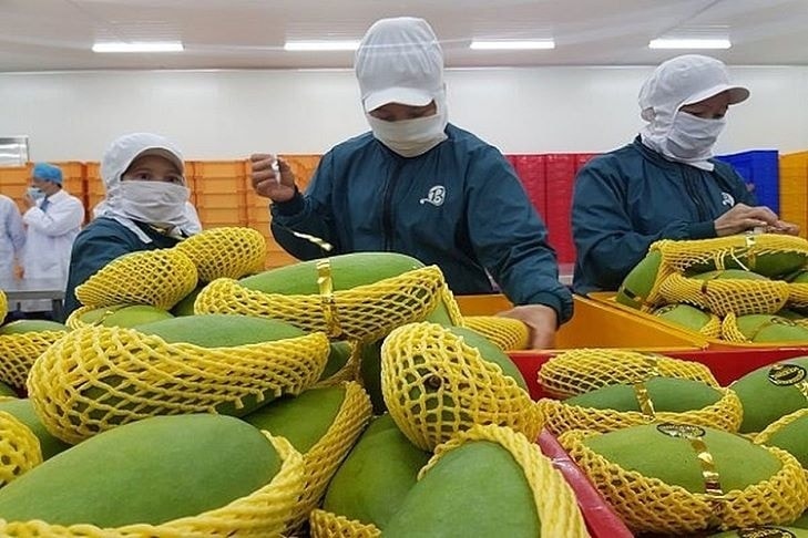 How to boost fruit and vegetable exports to China via official channels discussed