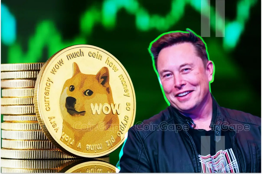 Dogecoin tăng giá 20% sau khi ông Trump công bố Bộ Hiệu quả chính phủ