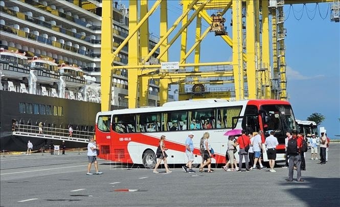 Cruise ship Noordam brings nearly 2,000 foreign arrivals to Da Nang