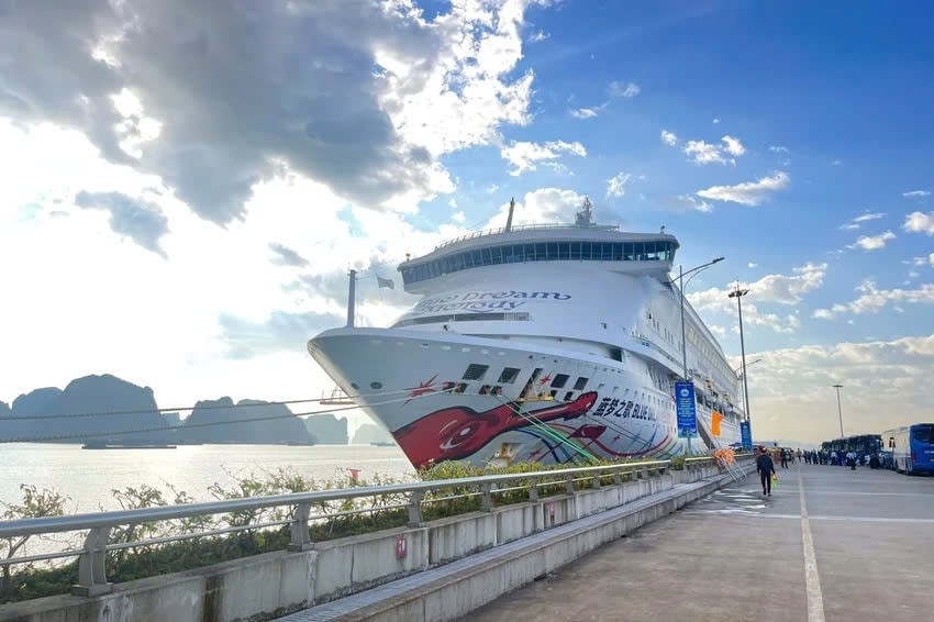 Cruise ship Blue Dream Melody brings 1,100 Chinese tourists to Ha Long