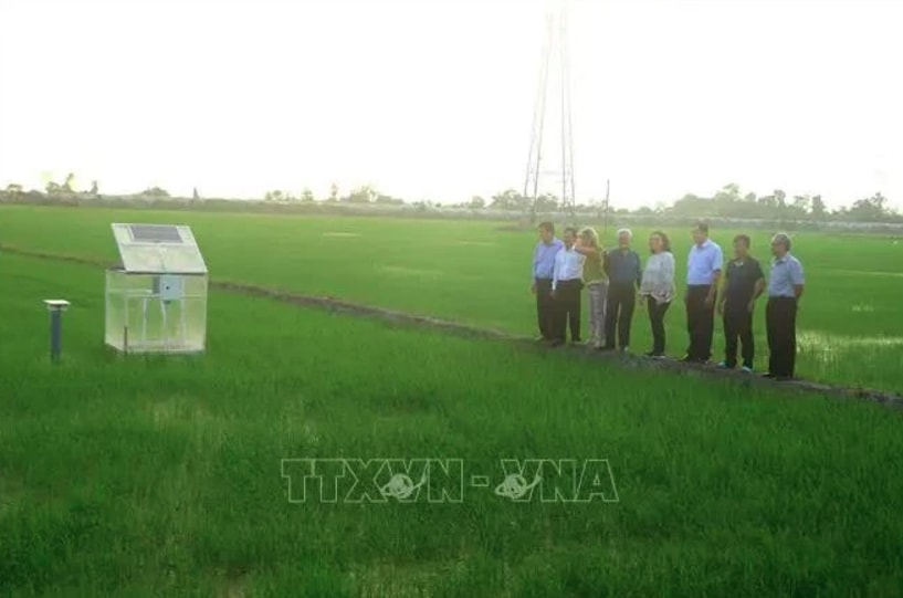 World Bank delegation visits Can Tho’s low-emission rice production model