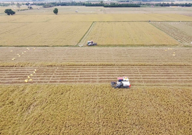 An Giang Province restructures agriculture, develops new-style rural areas