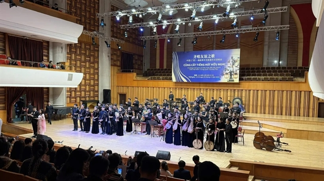 Traditional music bridges Vietnamese, Chinese youth
