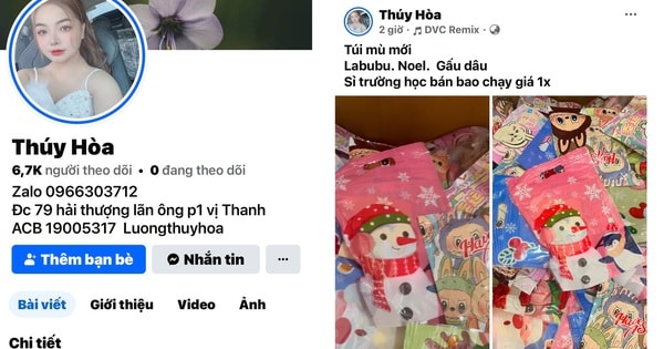 Kiểm soát hàng Tết ở sàn giao dịch giá rẻ xuyên biên giới, Facebook và TikTok