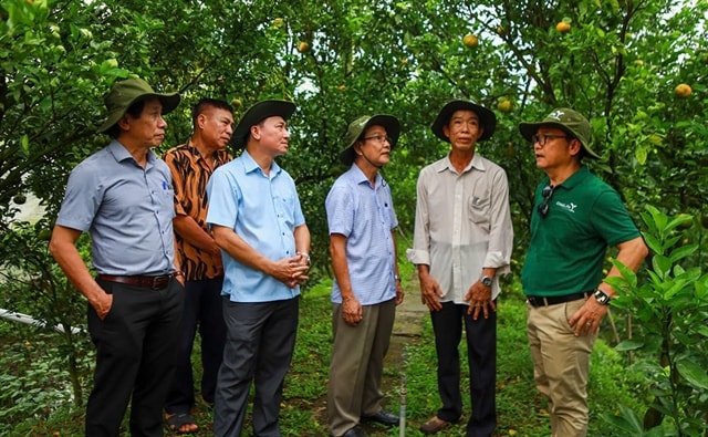 Sustainable farming practices drive positive change in Đồng Tháp agriculture