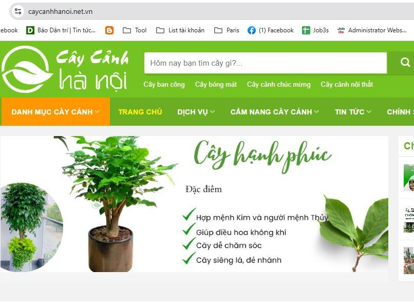 Thông cáo báo chí: Cây cảnh Hà Nội ra mắt tên miền mới caycanhhanoi.net.vn