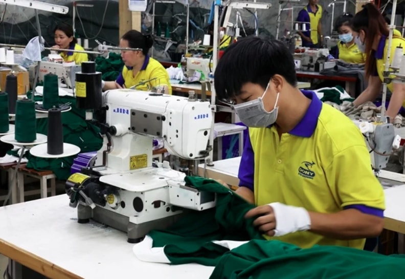 Garment industry urged to gain self-sufficiency in raw materials for UK expansion