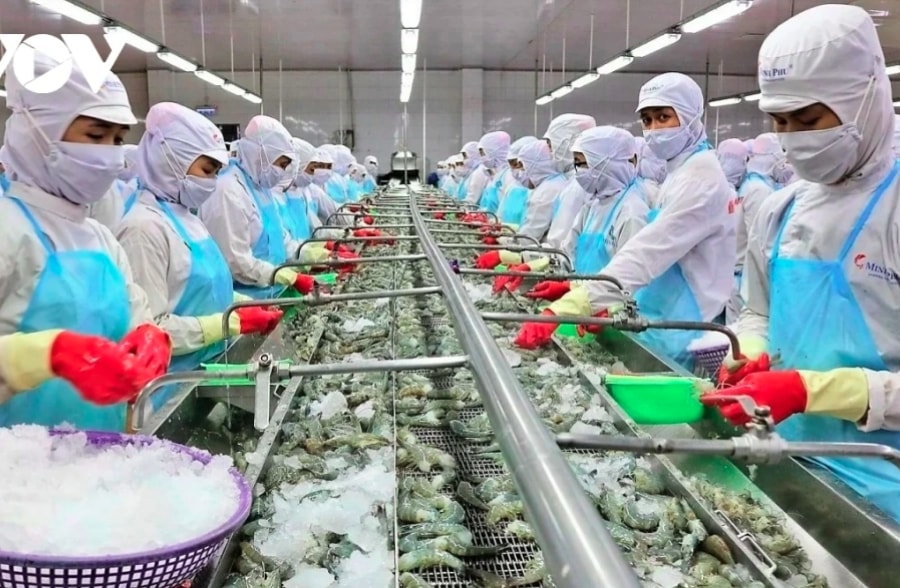 11-month shrimp exports bring in US$3.6 billion