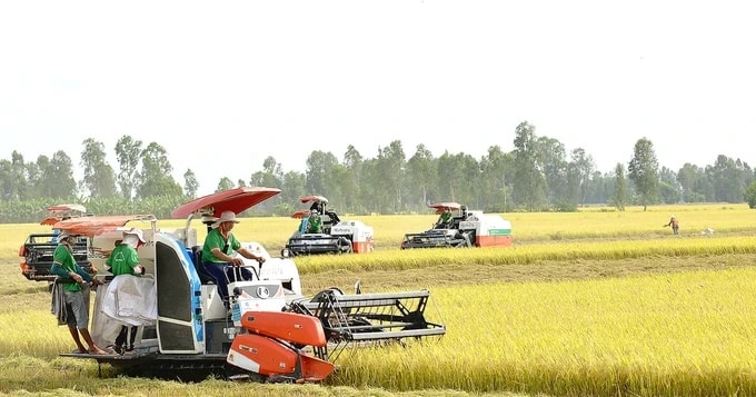 Vietnam's agricultural sector achieves new export record in 2024