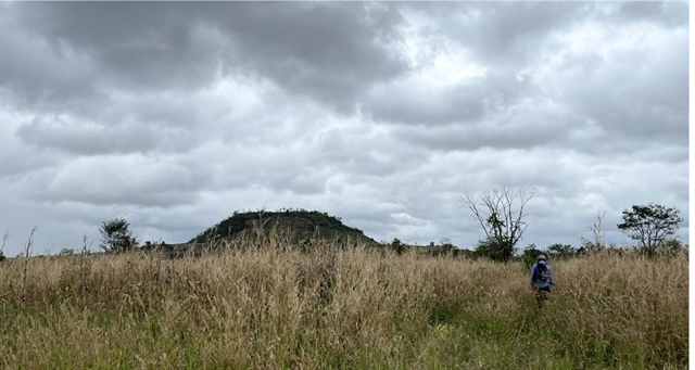 Newly discovered lava cave enhances Đắk Nông on world heritage map