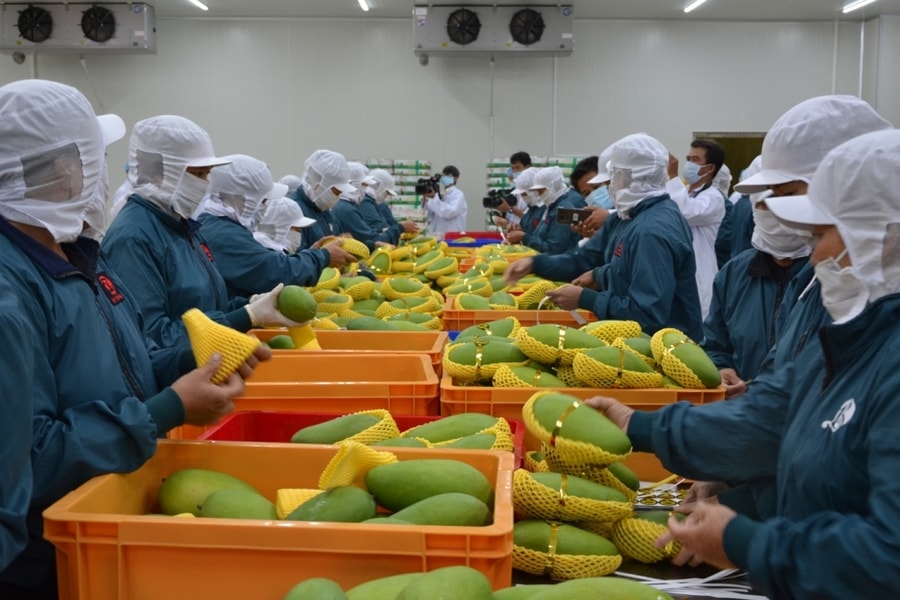 Fruit and vegetable sector aims for US$10 billion export target