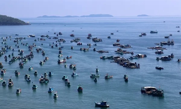 Mekong Delta provinces modernise fishing boats, protect fisheries resources